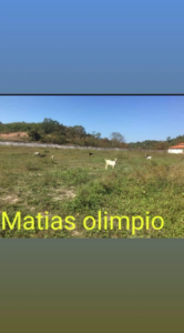 O Descaso com o Estádio Municipal de Matias Olímpio: Uma Triste Realidade Abandonada