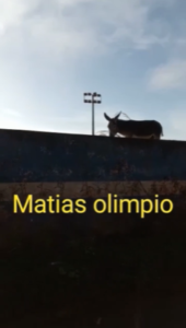 O Descaso com o Estádio Municipal de Matias Olímpio: Uma Triste Realidade Abandonada