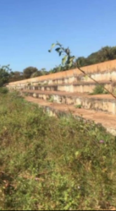 O Descaso com o Estádio Municipal de Matias Olímpio: Uma Triste Realidade Abandonada