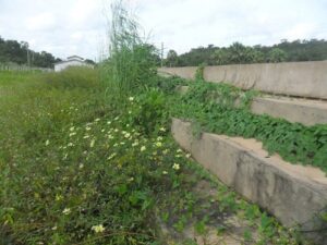 O Descaso com o Estádio Municipal de Matias Olímpio: Uma Triste Realidade Abandonada