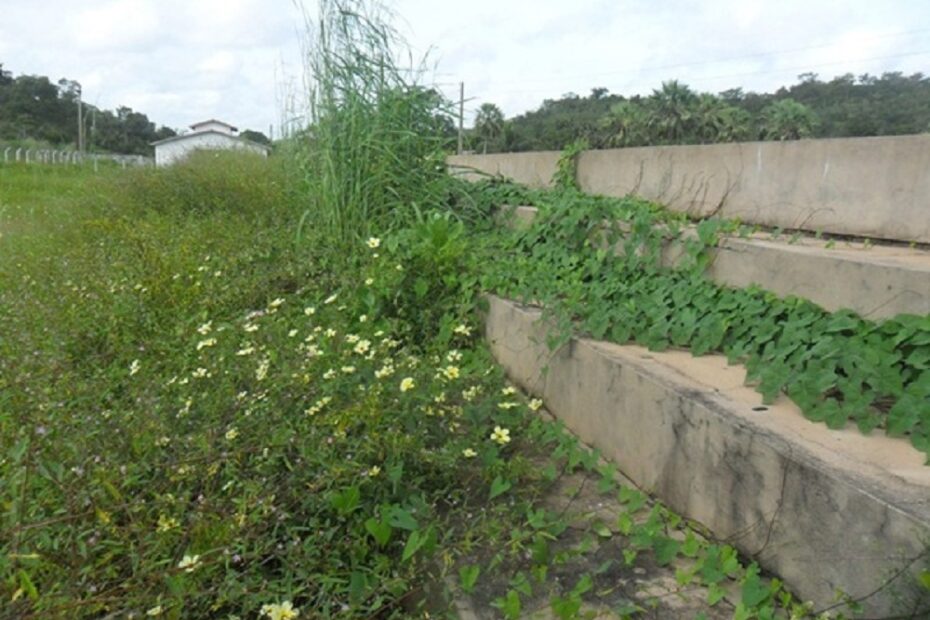 O Descaso com o Estádio Municipal de Matias Olímpio: Uma Triste Realidade Abandonada