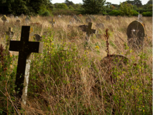 Descaso Mortuário: O Abandono do Cemitério de Matias Olímpio e o Silêncio da Administração