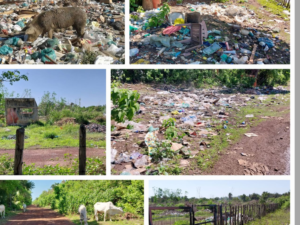 O Descaso Ambiental em Matias Olímpio/PI: Lixão a Céu Aberto e seus Impactos na Saúde Pública