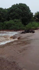 Abandono na Ponte do Povoado Piçarra: Um Desastre Previsível