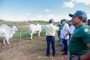 Fábio Abreu Celebra Avanço Histórico na Pecuária Piauiense: Última Campanha de Vacinação Contra Febre Aftosa